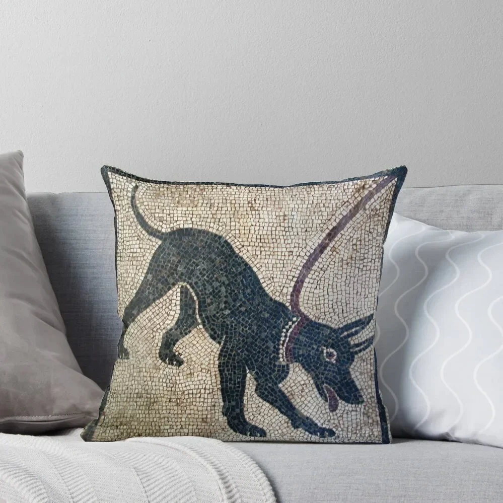 Пещера канем-древние Помпеи наволочки для подушек наволочка подушки