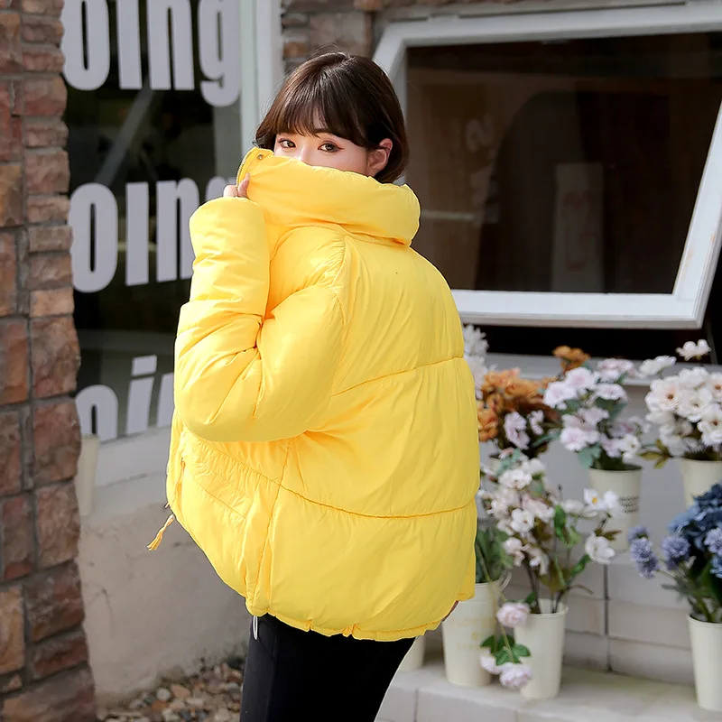 

2022 New Winter Stand Collar Cotton-padded Coat Women nian018