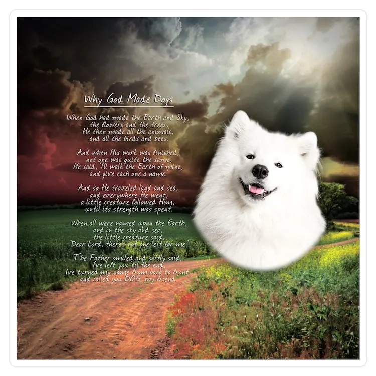 

Godmadedogs (кнопка) Средняя высечка наклейка для ноутбука Забавный автомобиль милый мультфильм искусство модный общественный чемодан