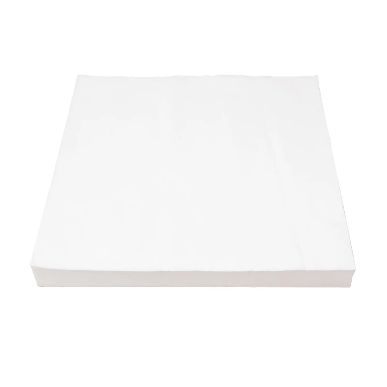 

100 Pieces Pad for Tray Non Woven Pet Cages Cushion Precut Mat Absorbent Bird