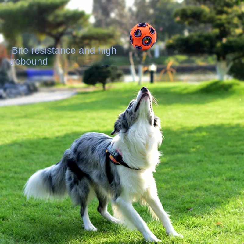 

Игрушка для домашних животных с цветами сливы, звонок, устойчивый к укусам и звучанию, товары для домашних животных, резиновый тренировочный мяч для шлифовки зубов