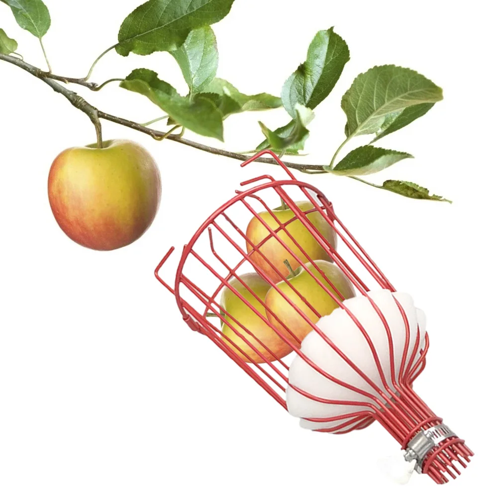 

New Carbon Steel Detachable Fruit Picker Head Garden Supplies Greenhouse Fruit Picker Garden Picking Device Garden Hand Tools