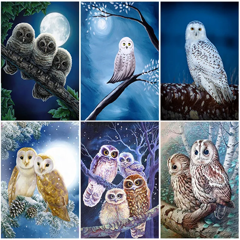 

DIY Owl 5D Diamond Painting Full Square Drill Animal Diamond Embroidery Cross Stitch Rhinestone Manual Hobby Home Decor Gift