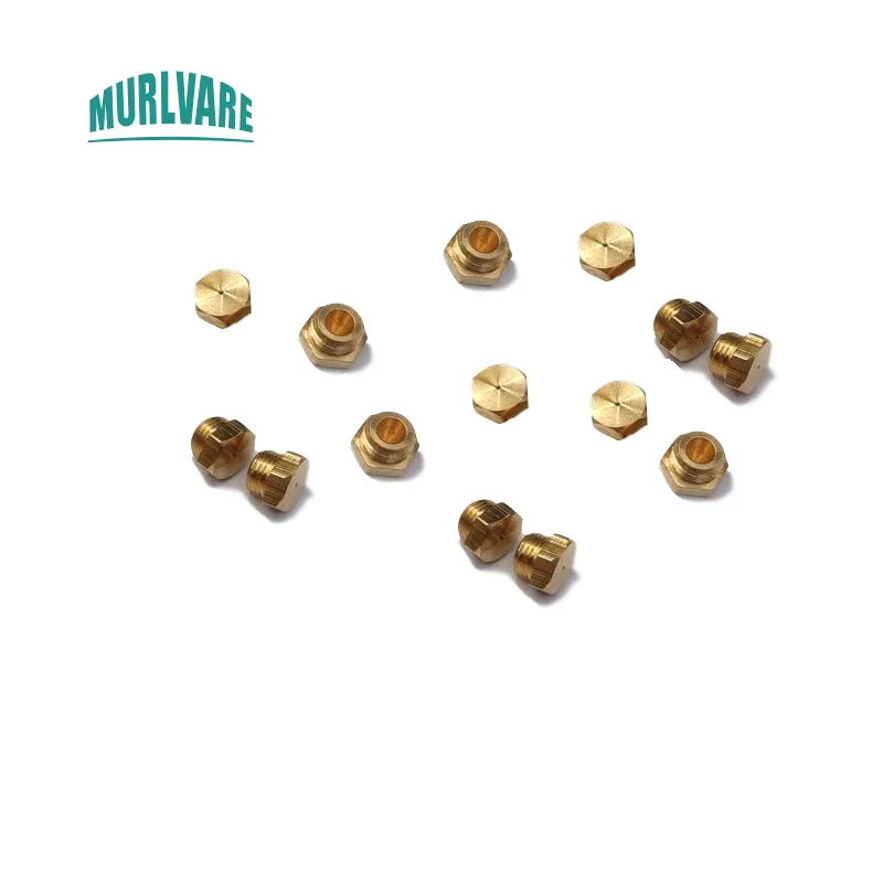 

10Pcs/set Strong Exhaust Gas Water Heater Spare Parts LPG Changed To NG Gas Source Interchangeable M5 M8 Nozzle