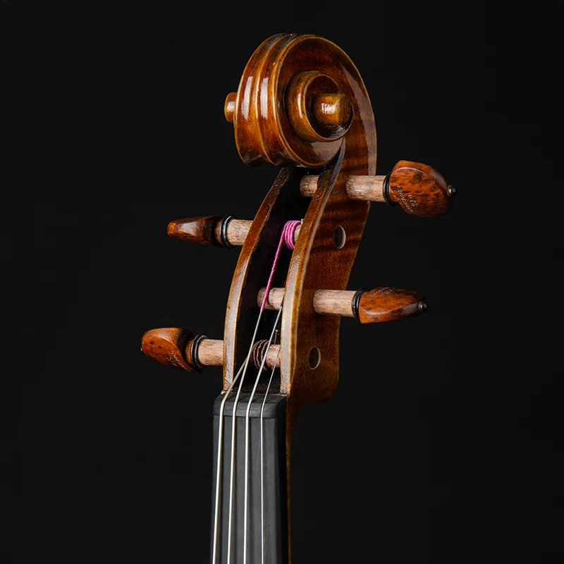 CHRISTINA Скрипка для профессионалов S400A с фурнитурой Snakewood европейская