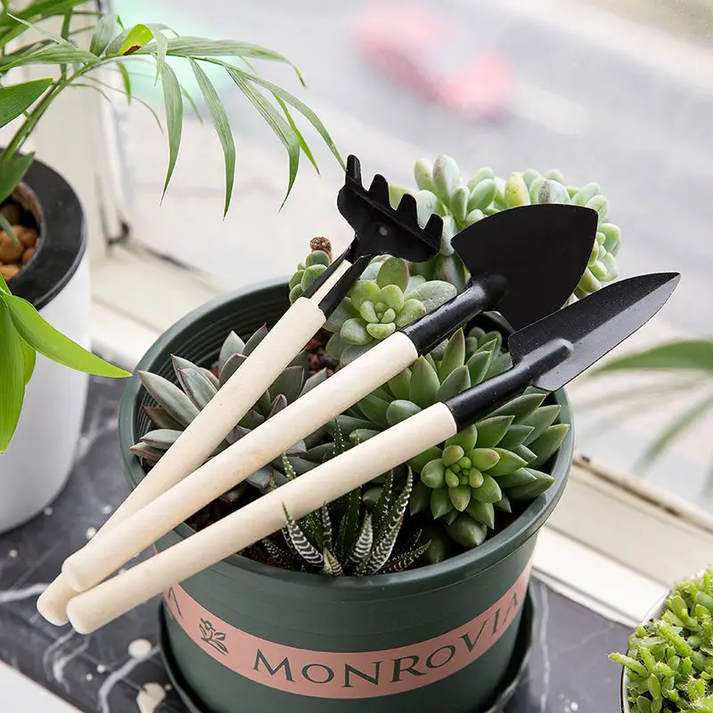 

3Pcs Garden Tools Kit Mini Wooden Portable Shovel Harrow Rake Spade Potted Plant Soil Raising Flowers Plating Seed Disseminators