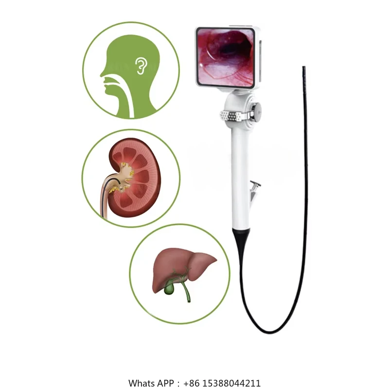 SY-P029-3 Portable Flexible Video Endoscope ENT Laparoscopic Urethral Cystoscopy Bronchoscopy