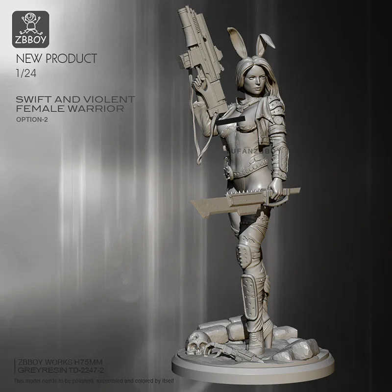 

1/24 Dimension Female Assassin Resin Soldier TD-2247