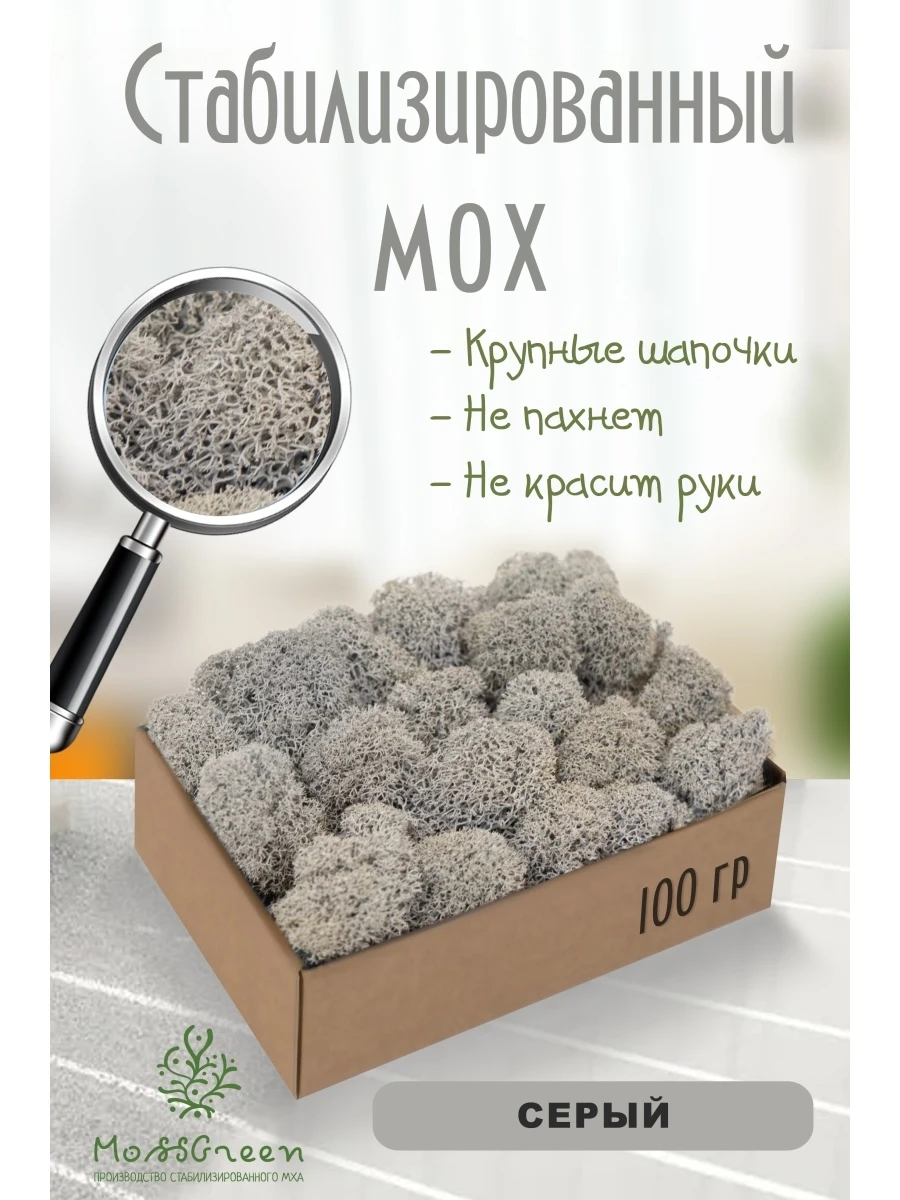 Мох стабилизированный 100 гр/мох ягеля MossGreen цвет 34 серый |