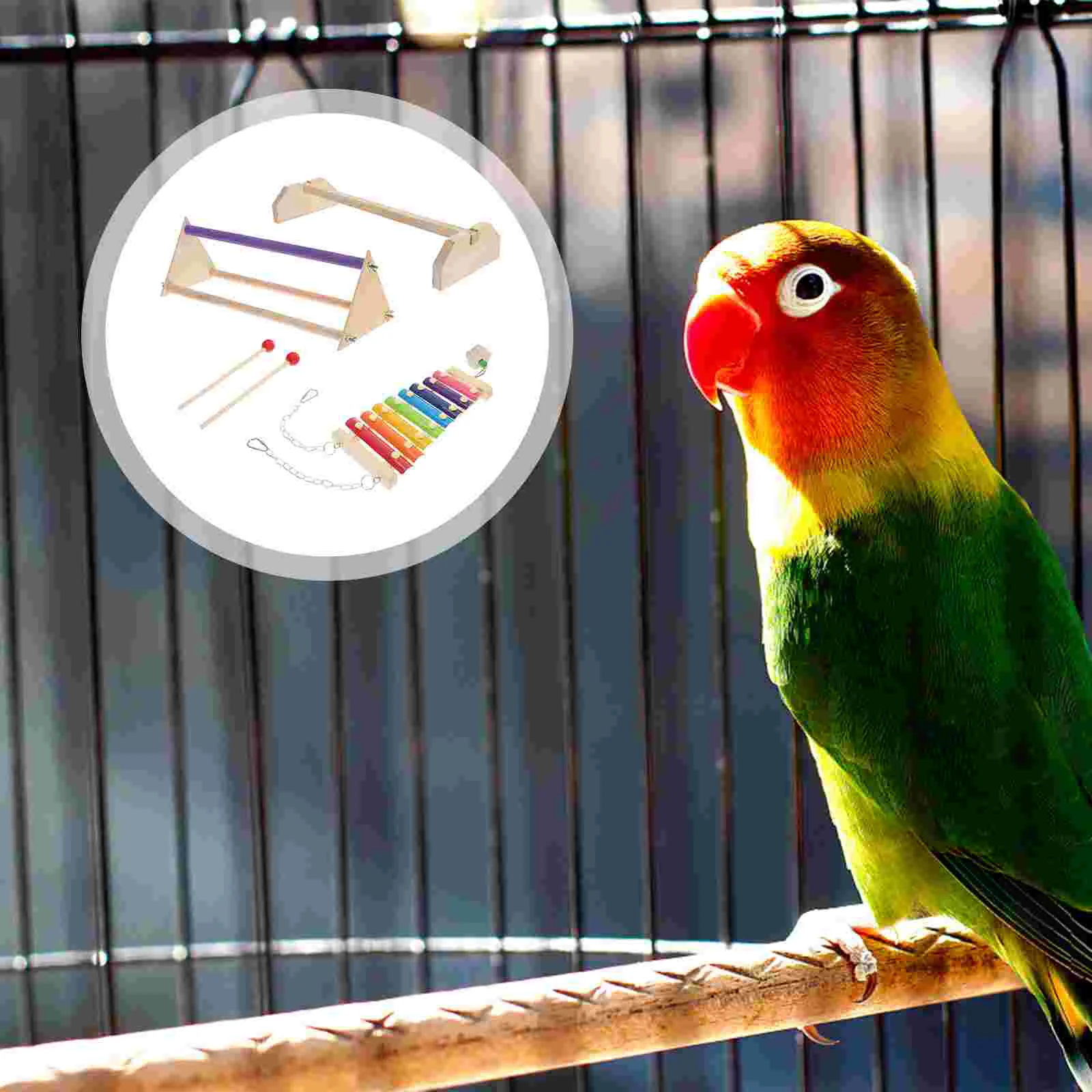 

1 Set Chicken Perch Novel Wooden Fine Pigeon Stand Bird Stand Gift Xylophone