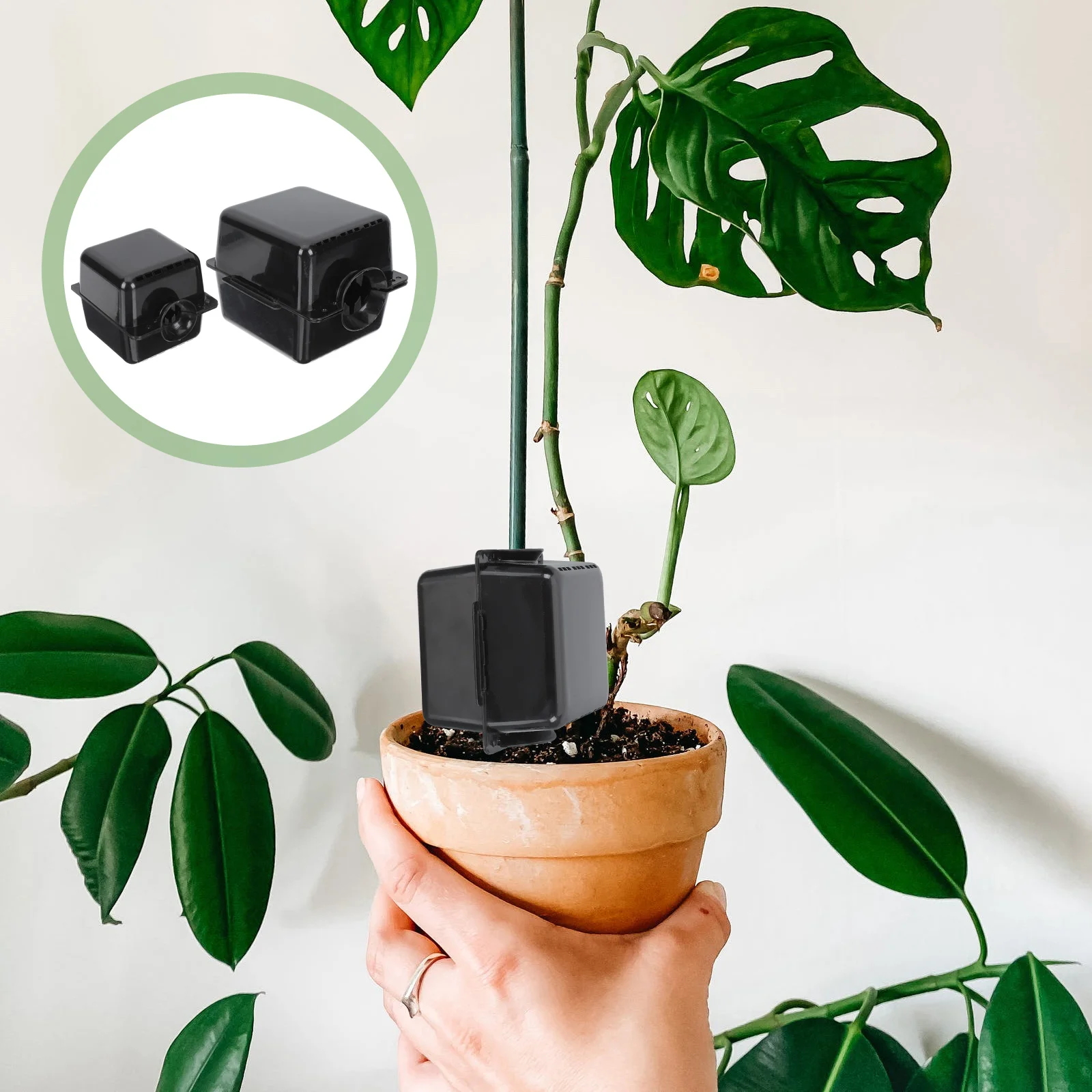 

4 шт., пластиковые коробки для укоренения растений