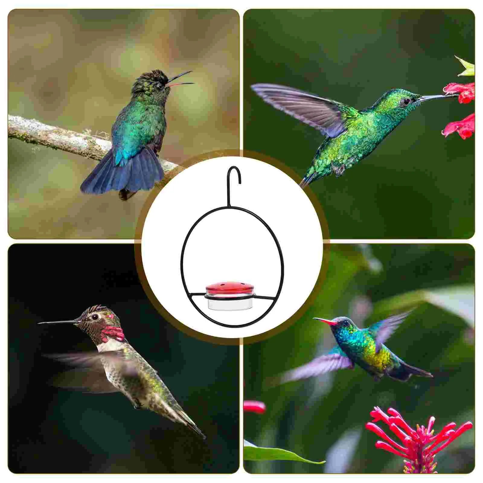 Рисунок 5 - Водная Кормушка Для Колибри