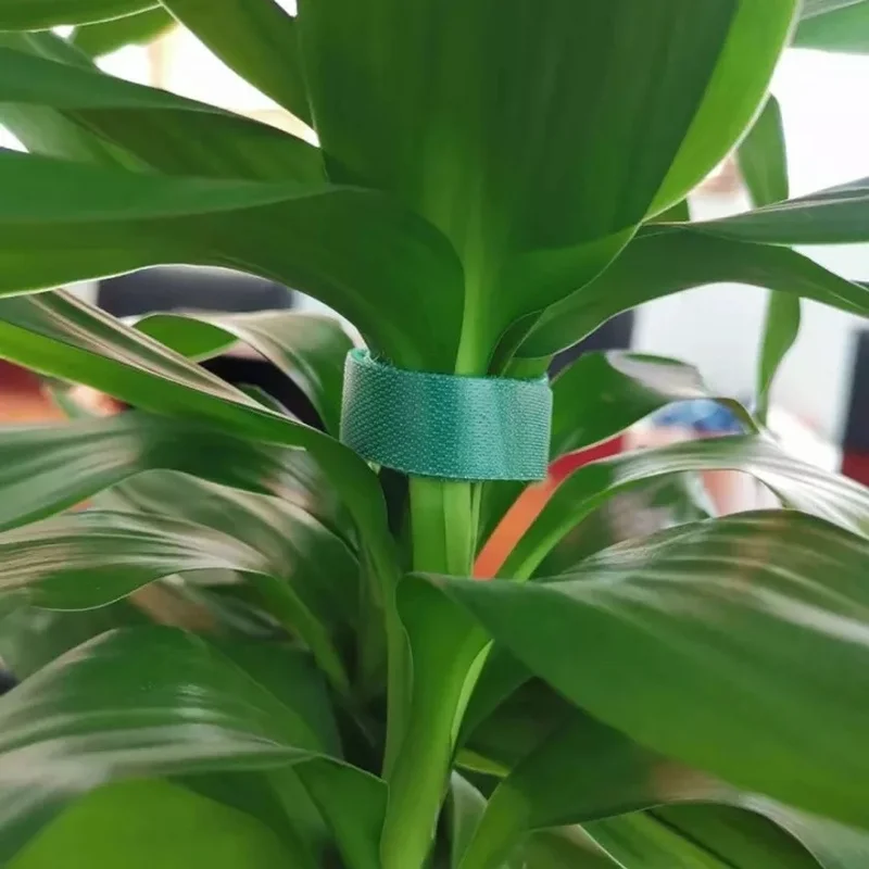 1 м Завязки для растений нейлоновая завязка садовая лента в форме растения