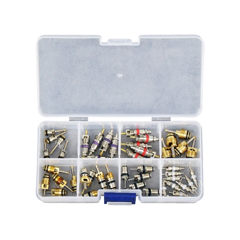 

45 шт. комплект сердечников клапана автомобильного кондиционера, запасные части для ремонта R134a,bmw, Fucan,jetta,citroen,volvo,hyundai