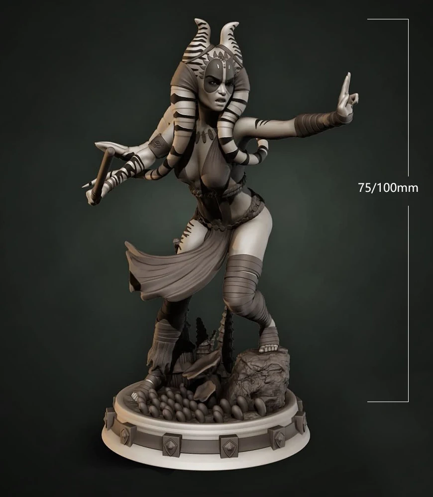 

1/24 75mm 1/18 100mm Resin Model Kits Planet Female Warrior Unpainted No Color RW-578