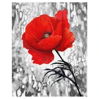 tapb diy painting by numbers red flower coloring by numbers adults for handpainted on canvas home wall art decor