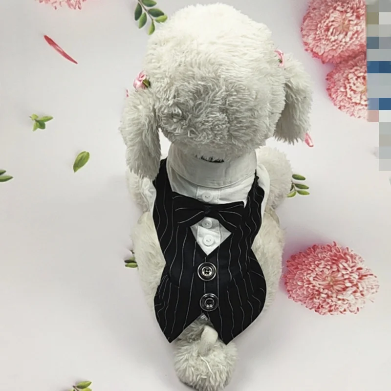 Одежда для маленьких собак и кошек костюм летнее тонкое рубашка Тедди