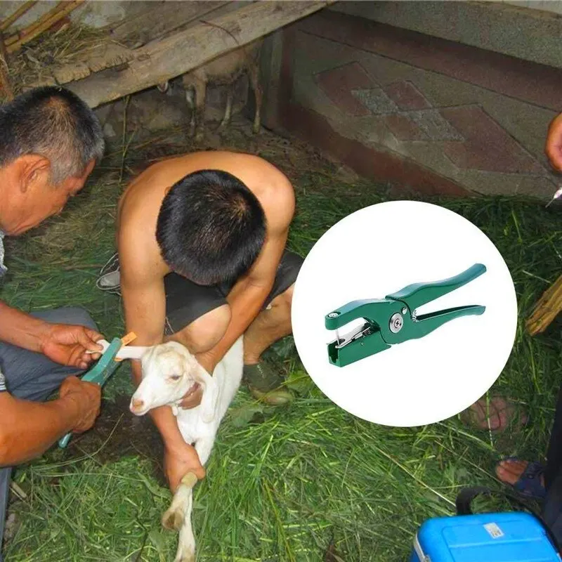 

Ear tag pliers Animal Control Device Green Metal ear thorn tongs Swine Cow Sheep Rabbit Identification tool Free shipping