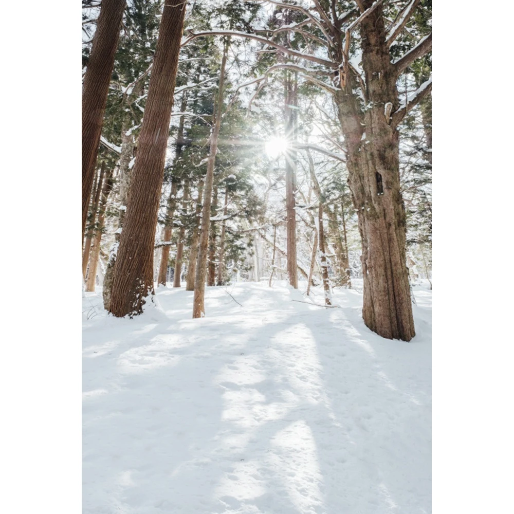 Фон для фотосъемки с изображением снеговика |