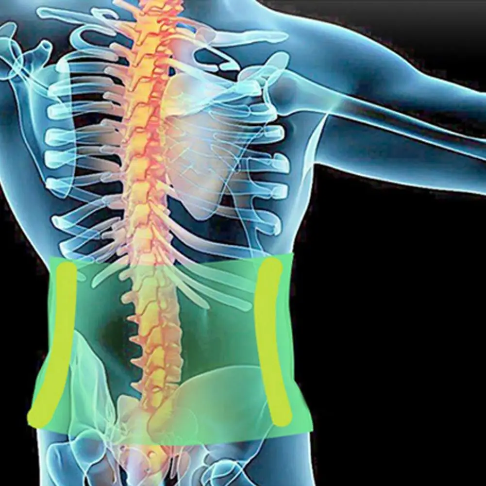 

3D Design Universal Waist Slimming Belt Belly Shaper Cincher Fastener Tape Closure Waist Support Belt Elastic for Exercise