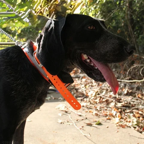 Оборудование для охотничьего ошейника T5/T5mini 430/50/320, GPS-локатор для собак