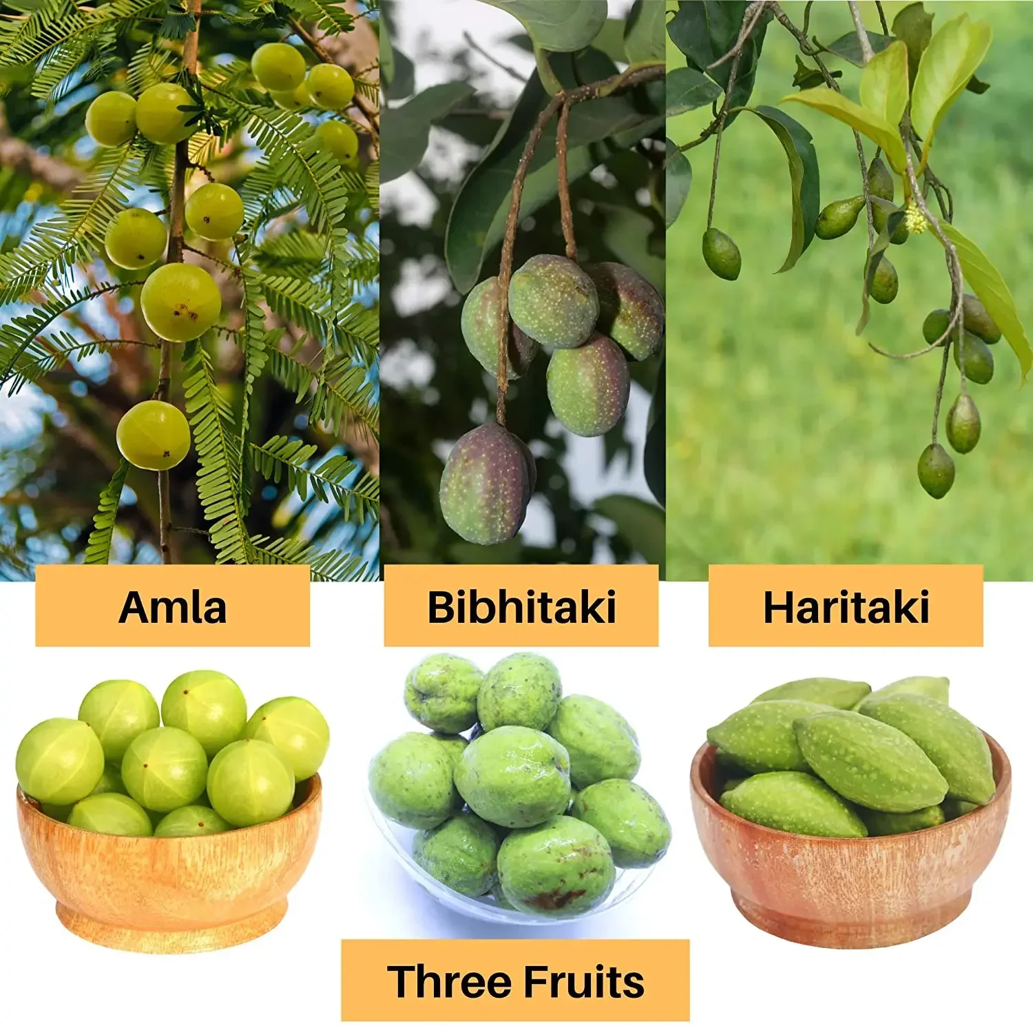 Трифала YGZ Филлантус эмблема сделай сам искусственное свечее мыло [последняя