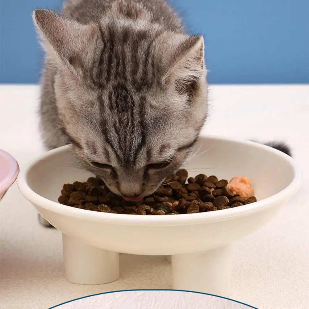 

Safe Odorless Pet Bowl Stable High Foot Pet Bowl Neck Protector Anti-tip Design for Cat Dog Feeding Durable Water Food for Pet