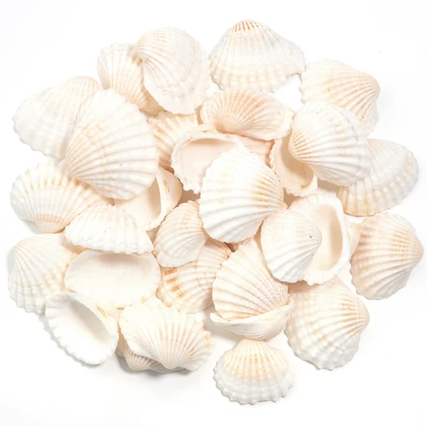 Натуральные белые перфорированные бусины из снежной ракушки 40 г