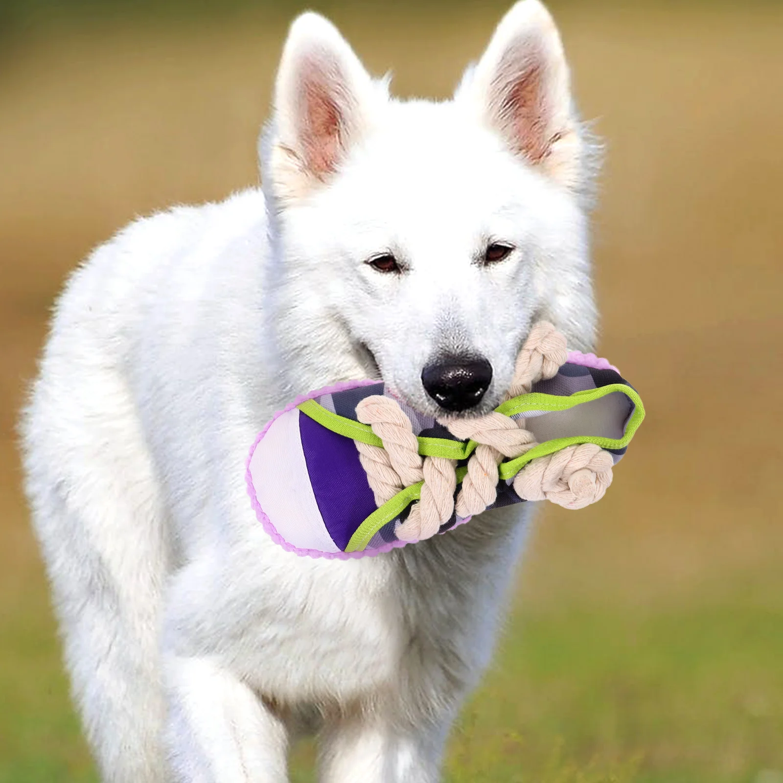 

Pet Slippers Toy Small Dog Toys Plaything Bite Resistant Puppy Teething Chew Canvas