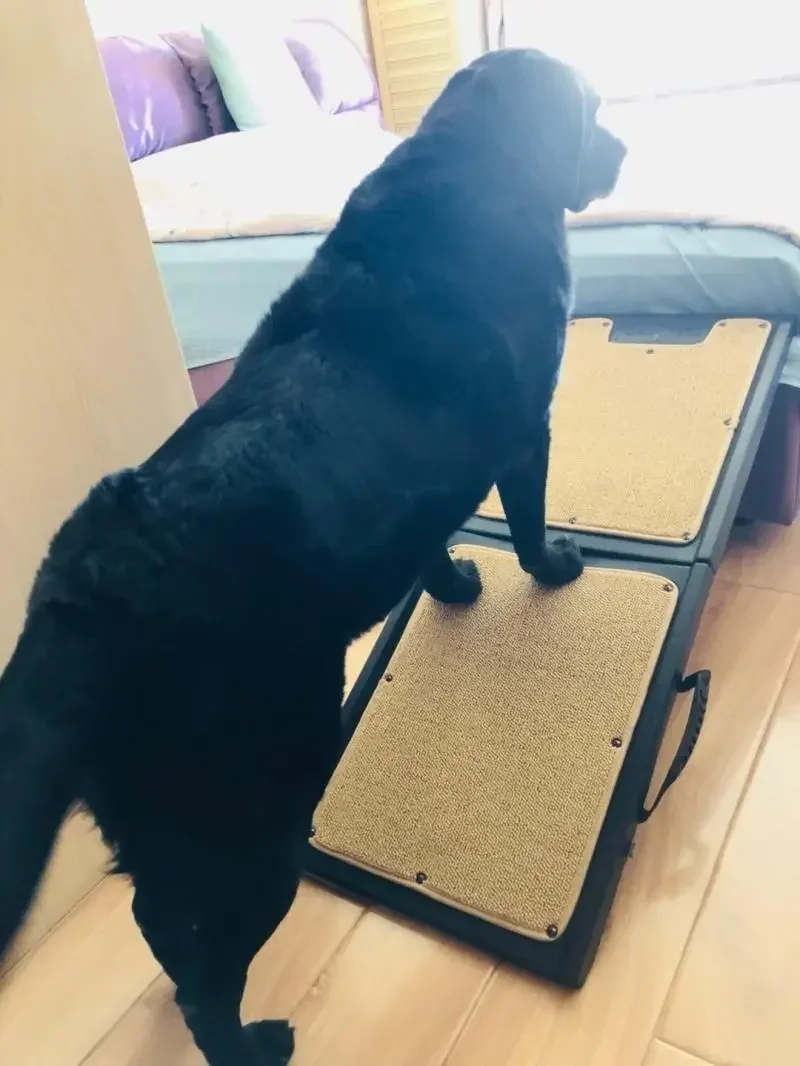 Эскалация для массажа плиссированная гофрированная дорога больших собак