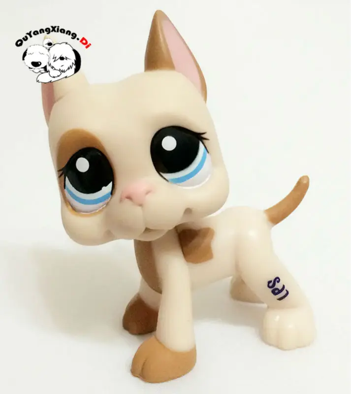 CWG029 Pet Shop Animal Great Dane Dog Светло-коричневый кремовый синий глаз Редкая фигурка милого