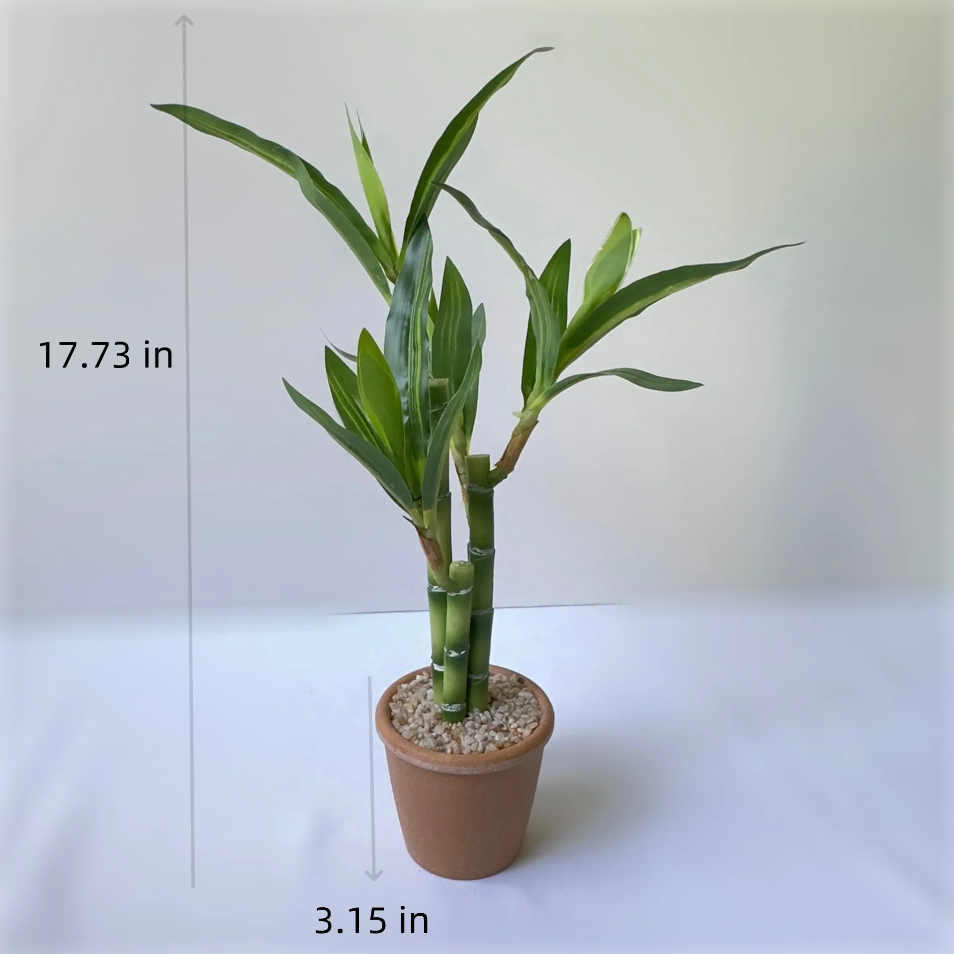 

Искусственный бамбук SNQP