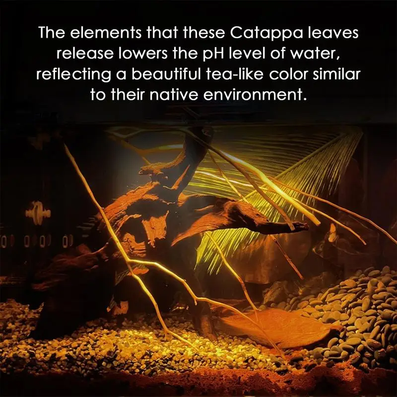 Терминалия катапупа листья бетта креветок PH баланс кондиционер для воды