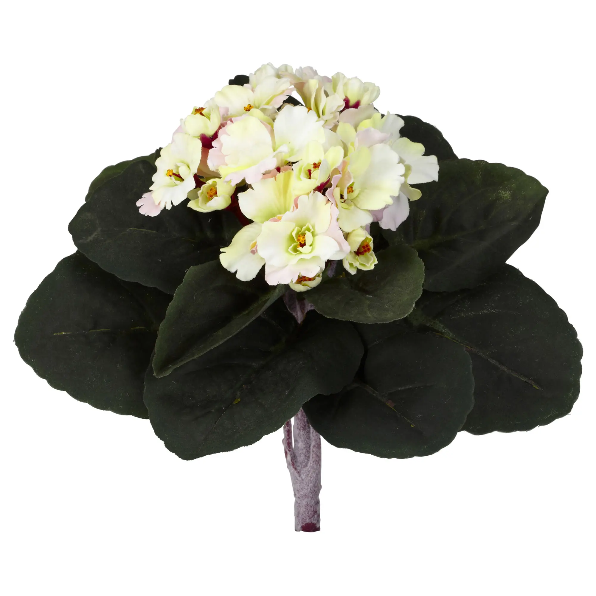

African Violet Artificial Plant (Set of 6) , Cream