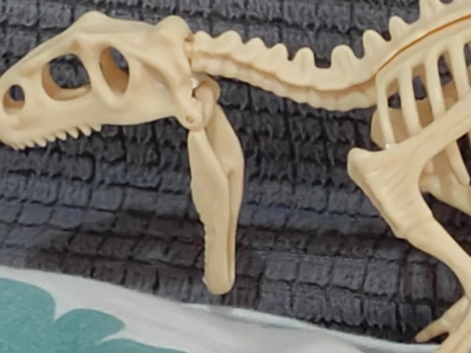 Игрушки для археологических раскопок динозавр тираннозавр Рекс окаменелость