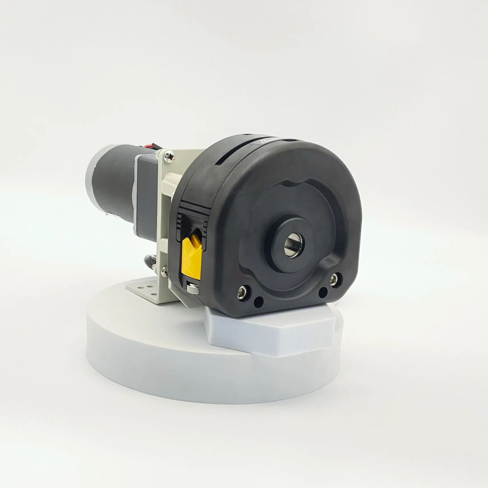 

Небольшой перистальтический насос OEM 12 В OEM208 Chuangrui