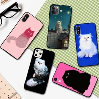 yndfcnb persian cat phone case for iphone 11 12 13 mini pro xs max 8 7 6 6s plus x 5s se 2020 xr cover