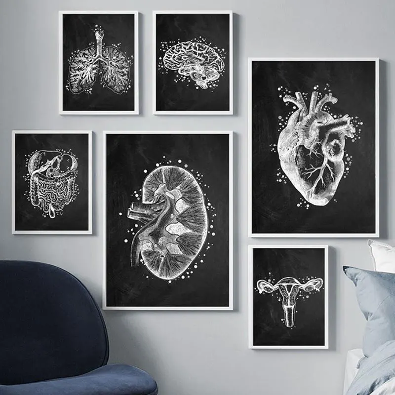 

Black And White Flower Body Genitals Poster And Prints Organ Human Canvas Painting Doctor Office Hospital Decor Wall Art Picture