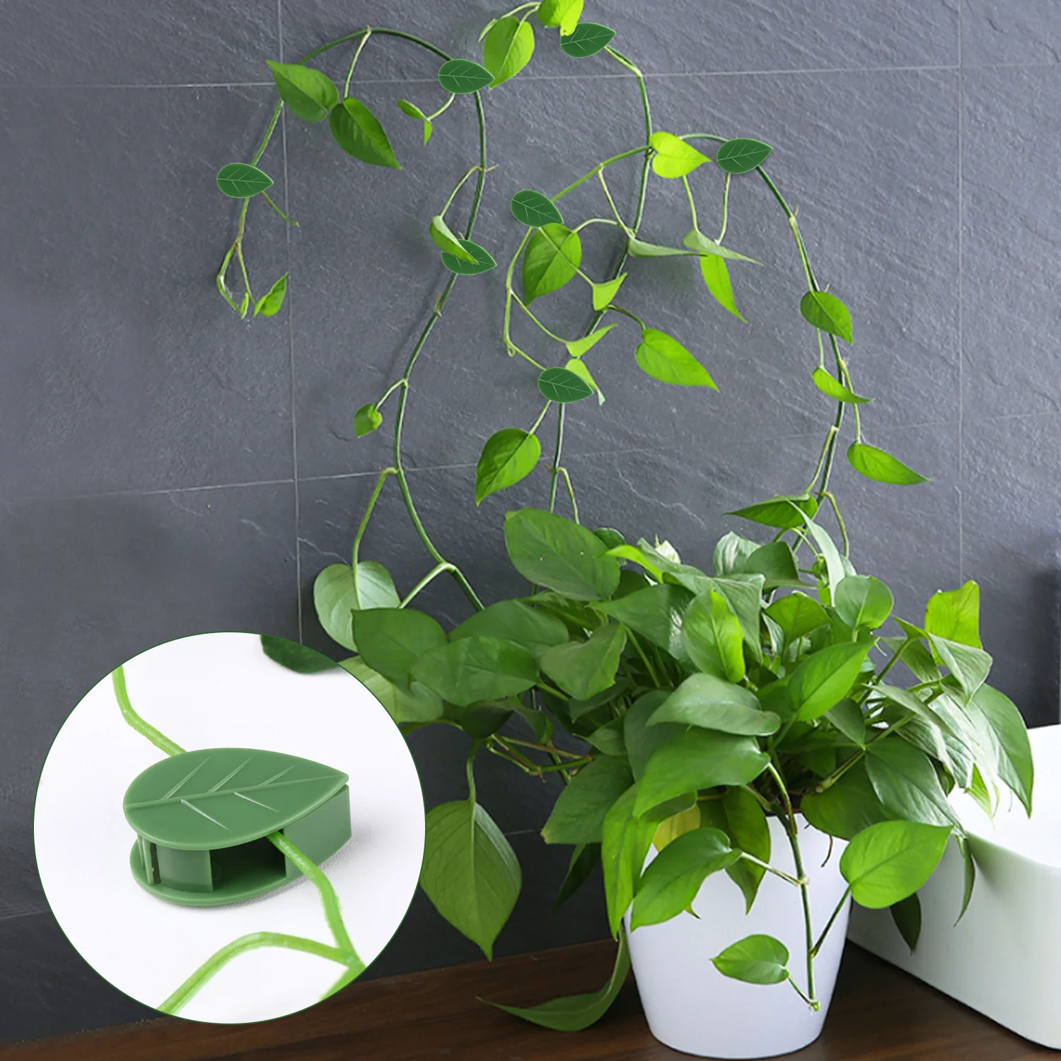 

50PCS Self-Adhesive Fixed Buckle Clips Plant Climbing Wall Fixture Rattan Vine Traction Holder Wire Organization Cable