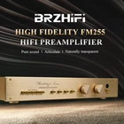 BRZHIFI клон Швейцария FM255 высококлассный предусилитель звука классический золотой HiFi аудиофил стерео усилитель домашний предусилитель