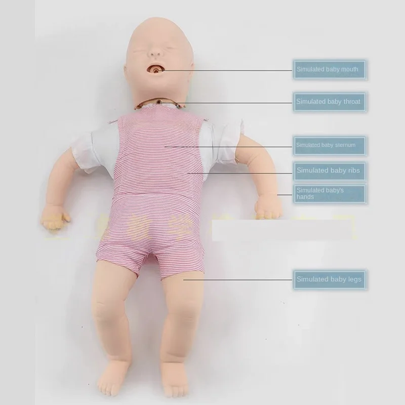 Обучающая модель манекен для обучения малышу из ПВХ школьное обучение ребенка