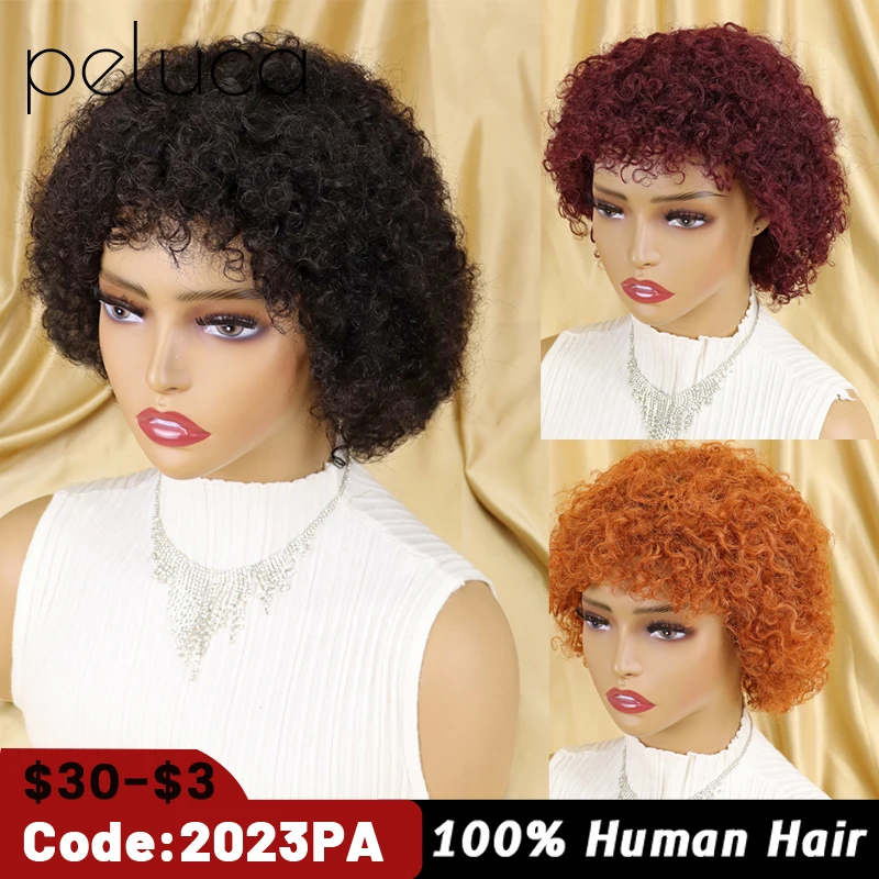 

Fluffy Afro Kinky Curly Wig For Black Women Remy Brazilian Human Hair Short Sassy Human Hair Wigs Natural Brown Burgundy Colored