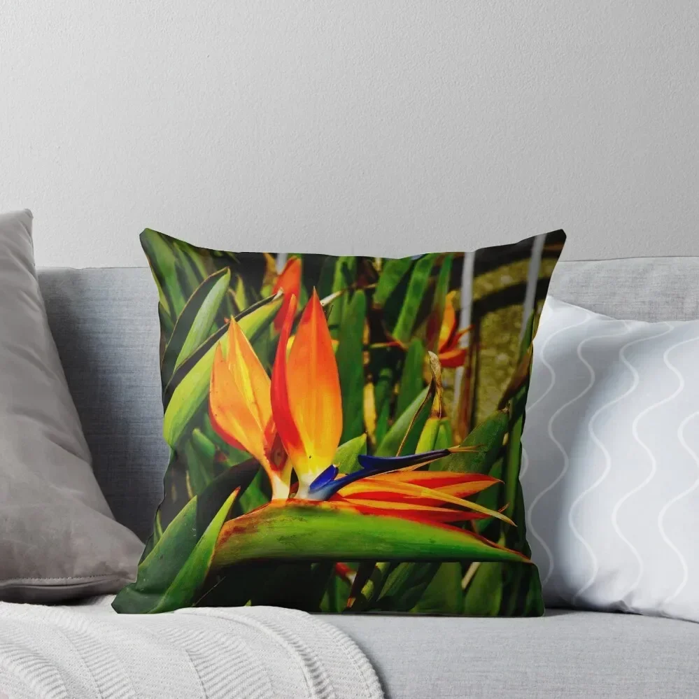 Декоративная подушка Bird of Paradise 100% Полиэстер