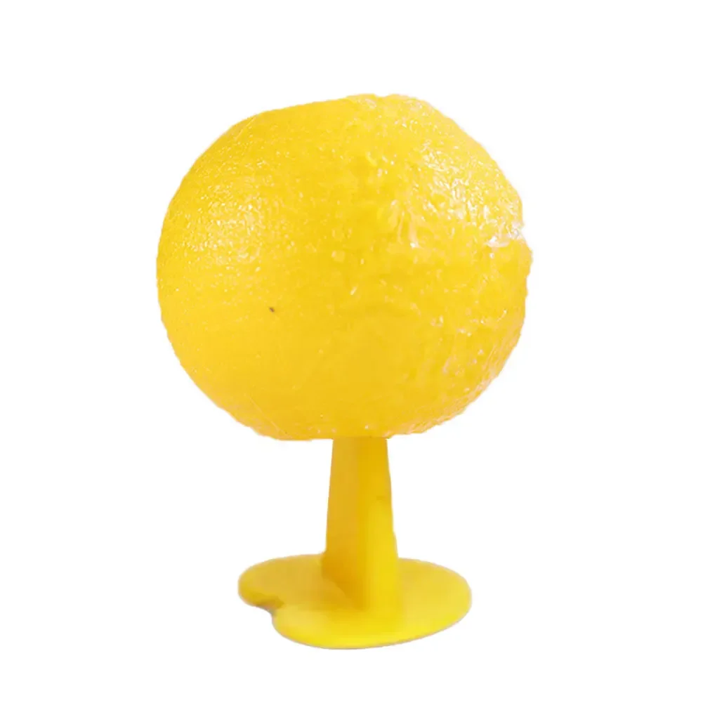 Ловушка для насекомых и фруктов многоразовая ловушка