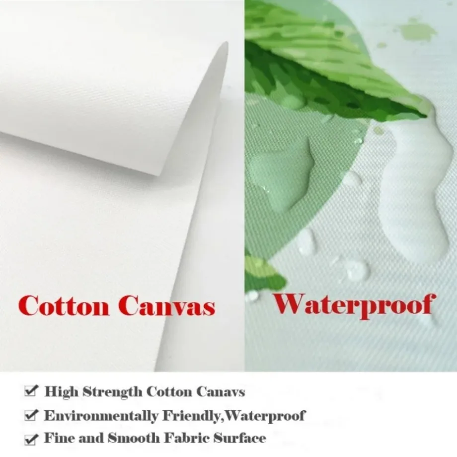 Современные минималистичные женские фотографии с принтами белого черного