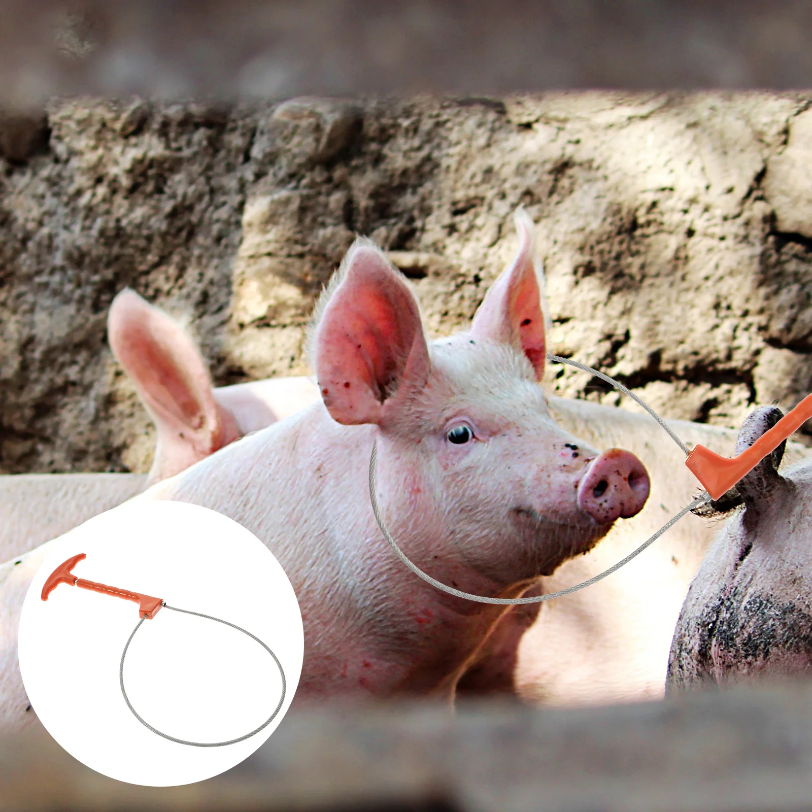 Набор для свиней стабилизирующий держатель с самоблокирующимся механизмом