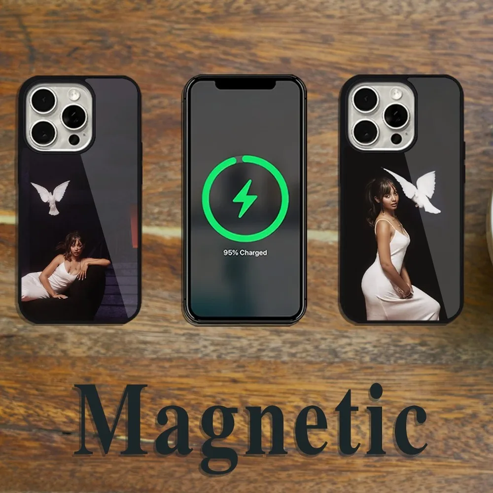 Чехол для телефона Singer PinkPantheress Magsafe Magnetic iPhone 11 12 13 14 15 Pro Max Plus с беспроводной