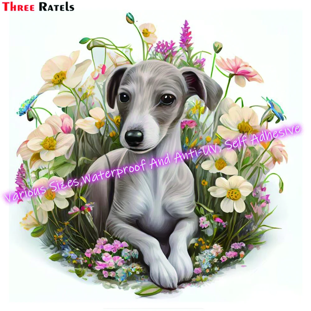Три Ratels M150 Whippet щенок эрсонализованные креативные наклейки на царапины и наклейки виниловый водонепроницаемый материал