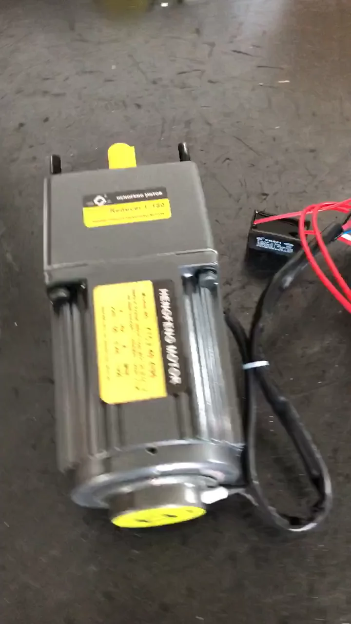 

China High torque 40W 110V/220V 50hz/60hz Single Phase AC Gear Motor