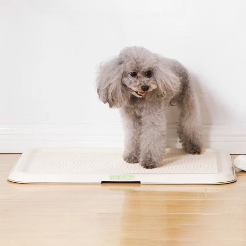 

Специальный прибор для чистки, аксессуары для чистки, устройство для сбора туалета собак, товары для щенков WZ50DT